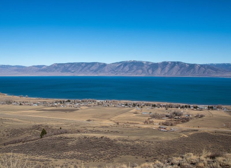 Hero for Home Services Options